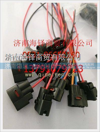 南充等燃?xì)恻c(diǎn)火線圈插頭,,濟(jì)南海瑞重型汽車經(jīng)銷中心