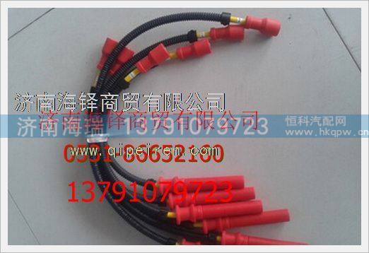 濰柴LNG天然氣發(fā)動機高壓線,,濟南海瑞重型汽車經(jīng)銷中心