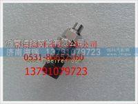 濰柴LNG天然氣發動機壓力傳感器