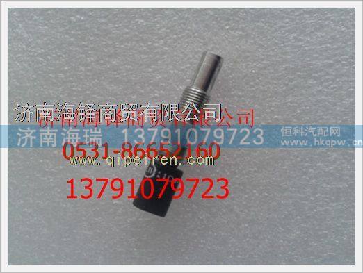 濰柴LNG天然氣溫度傳感器,,濟(jì)南海瑞重型汽車(chē)經(jīng)銷(xiāo)中心