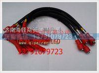 濰柴天然氣發(fā)動機(jī)高壓線  612600190764