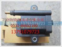 玉柴CNGLNG燃?xì)恻c(diǎn)火線圈 
