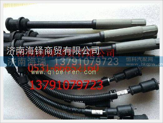 玉柴天然氣發(fā)動機燃氣高壓導線 /MY100-3705070