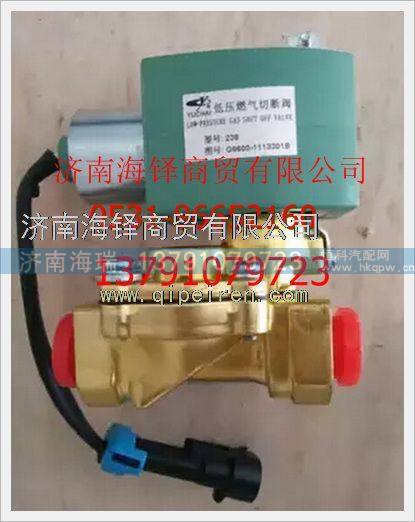 玉柴天然氣發(fā)動(dòng)機(jī)低壓燃料切斷閥 /G6600-110720