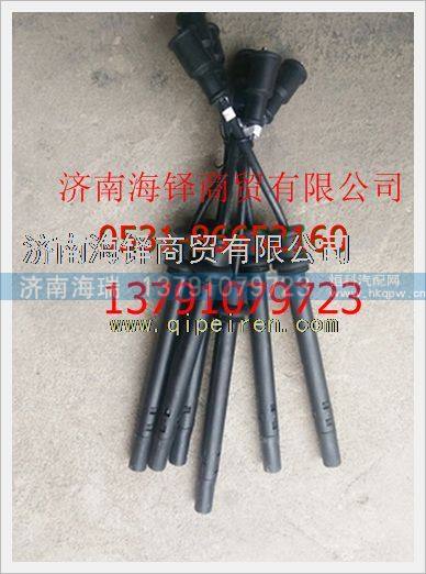 玉柴天然气发动机高压导线 /LN100-3705070