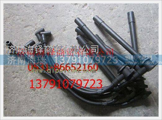 玉柴天然氣發(fā)動(dòng)機(jī)高壓導(dǎo)線(xiàn) /M2C00-3705070