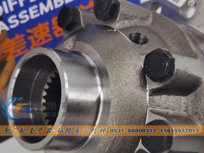 AZ9231320273,重汽豪沃差速器總成 Sinotruk HOWO Truck Spare Parts Differential Assembly,山東弗凱車橋重卡零部件制造有限公司