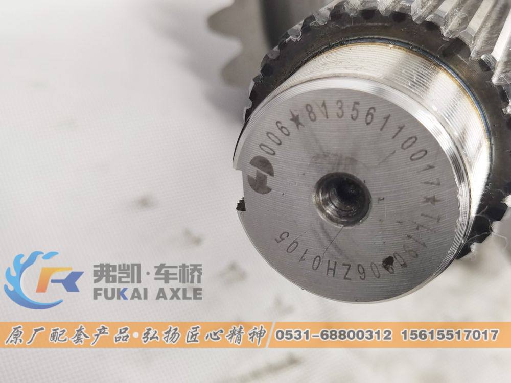 81.35100.6599,轴间差速器总成 Shacman Delong Truck Spare Parts Differential Assembly,山东弗凯车桥重卡零部件制造有限公司