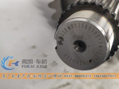 81.35100.6599,轴间差速器总成 Shacman Delong Truck Spare Parts Differential Assembly,山东弗凯车桥重卡零部件制造有限公司