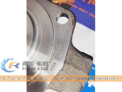 3001015-363,轉(zhuǎn)向節(jié)總成 FAW Jiefang Truck Spare Parts Steering Knuckle Assembly,山東弗凱車橋重卡零部件制造有限公司