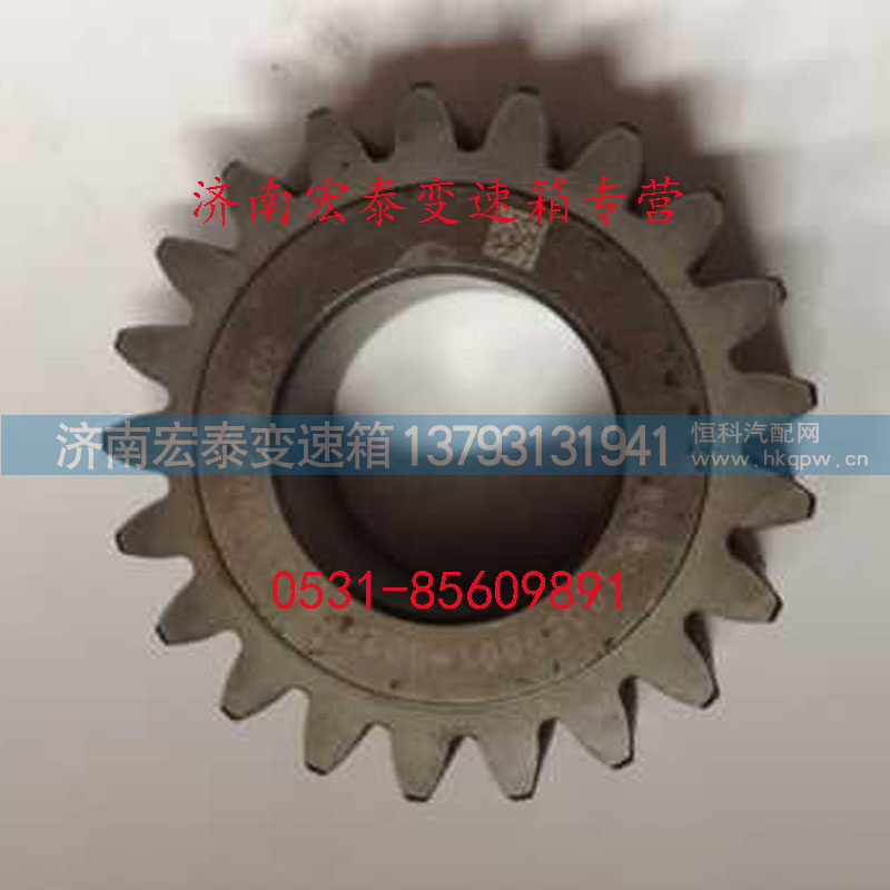 WG2210050001 惰轮