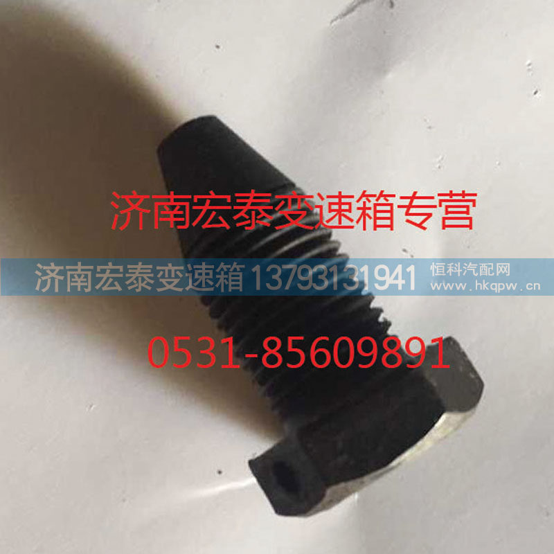 AZ2229220007,换挡拨叉锁止螺钉,济南宏泰变速箱专营店