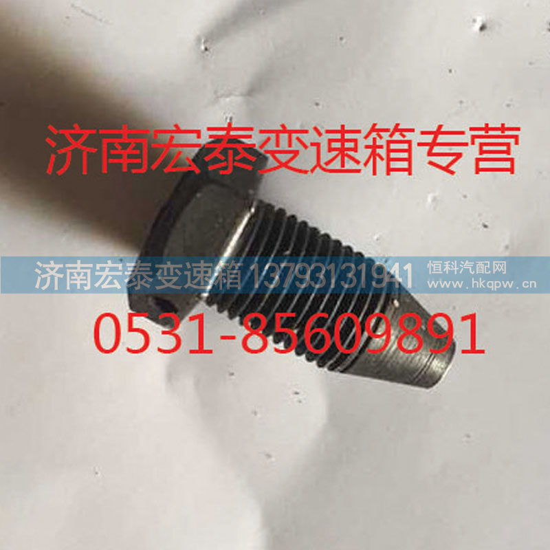 AZ2229220007,换挡拨叉锁止螺钉,济南宏泰变速箱专营店