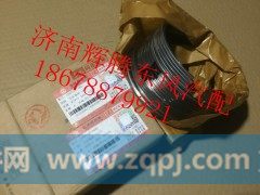 D5010295796*D5010477821*D5010412490,东风雷诺活塞环（油环，中压缩环，上压缩环）,济南辉腾东风汽配商行