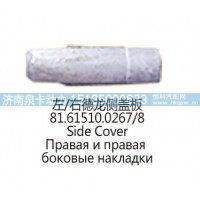 左右德龙侧盖板81.61510.0267/8
