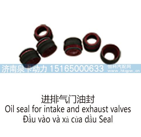 进排气门油封Oil seal for intake and exhaust valves/