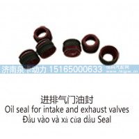 进排气门油封Oil seal for intake and exhaust valves