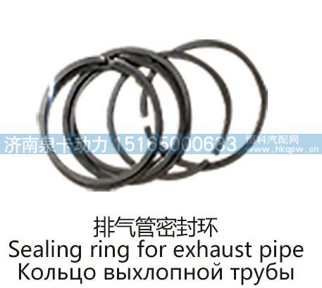 排气管密封环Sealing ring for exhaust pipe/