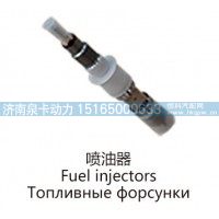 喷油器Fuel injectors