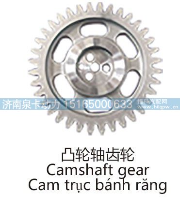 凸轮轴齿轮Camshaft gear/