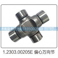1.2303.00205E 偏心万向节