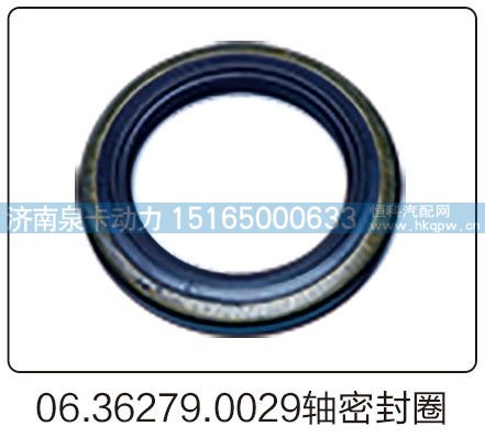 06.36279.0029轴密封圈/06.36279.0029