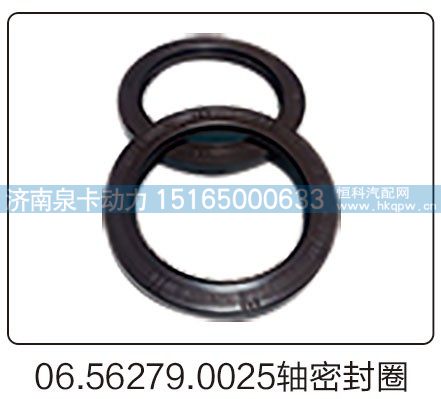 06.56279.0025轴密封圈/06.56279.0025