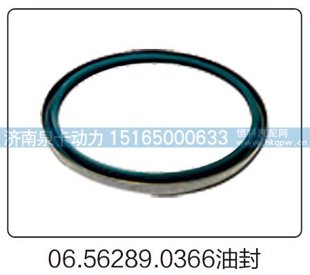06.56289.0366油封/