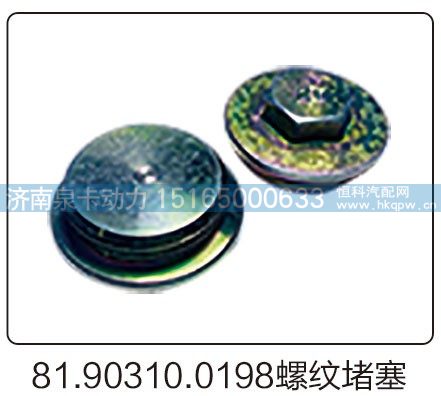 81.90310.0198螺纹堵塞/81.90310.0198