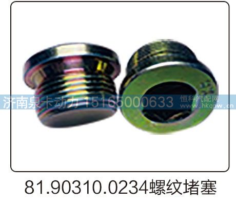 81.90310.0234螺纹堵塞/81.90310.0234