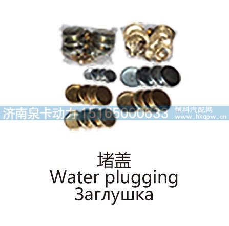 堵盖Water plugging/