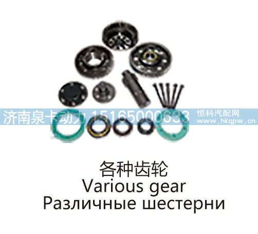 各种齿轮Various gear/