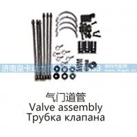 气门道管Valve assembly