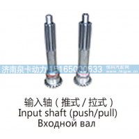 输入轴(推式-拉式)Input shaft (push-pull)