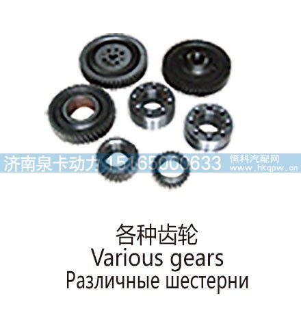 ,各种齿轮Various gears.jpg,济南泉卡动力汽车配件有限公司