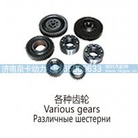 各种齿轮Various gears.jpg