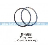 各种齿圈Ring gear