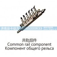 共轨组件Common rail component