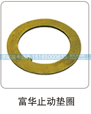 富华止动垫圈/