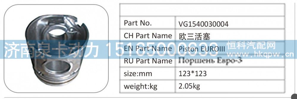 VG1540030004 欧三活塞