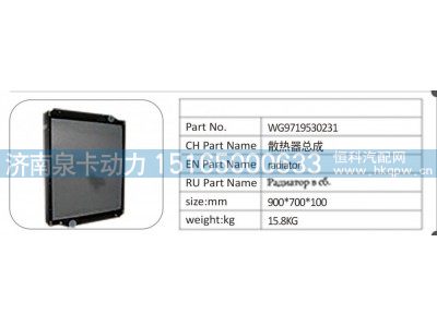 WG9719530231,WG9719530231；散热器总成,济南泉卡动力汽车配件有限公司