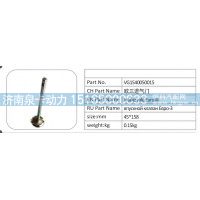 VG1540050015 欧三进气门