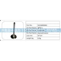 VG1560050042 进气门