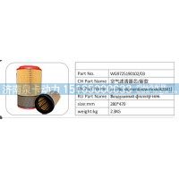 WG9725190102/03 空气滤清器芯  新款