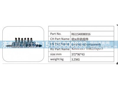 R611540080016 欧 III 共轨组件图1