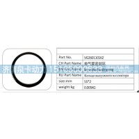 VG260110162 排气管密封环