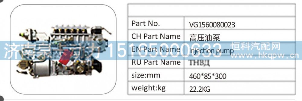 VG1560080023 高壓油泵/VG1560080023