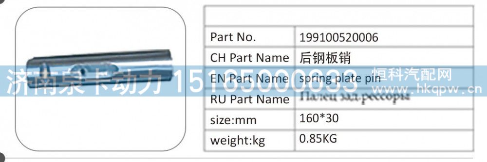 199100520006 后鋼板銷/199100520006