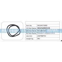 WG1642710002 前挡风玻璃密封条