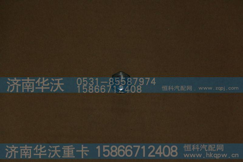 618DA1008109A,增压器螺母M10,济南华沃重卡汽车贸易有限公司